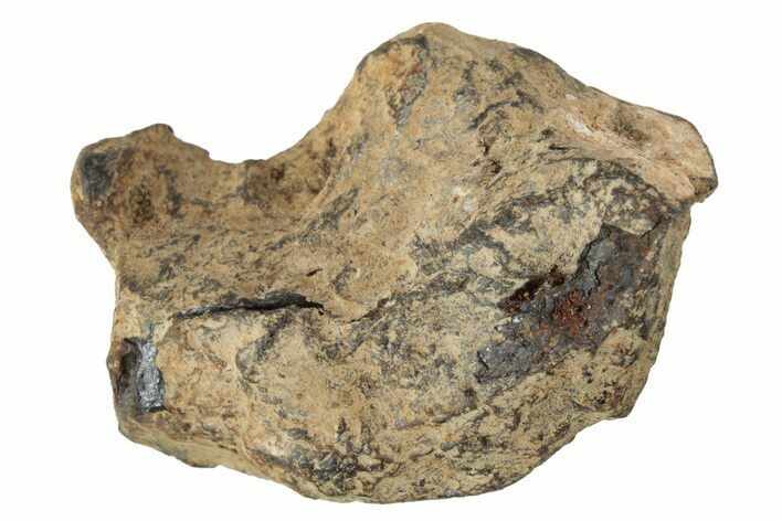 Agoudal Iron Meteorite ( g) - Morocco #245593